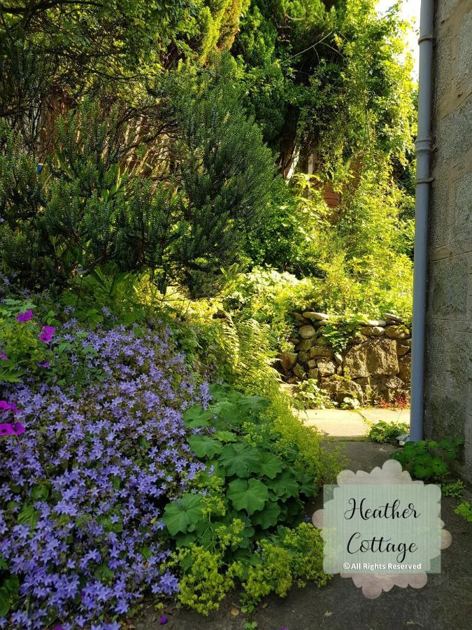 Heather Cottage Aberdeen Extérieur photo